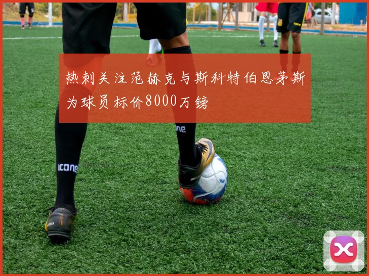 热刺关注范赫克与斯科特伯恩茅斯为球员标价8000万镑