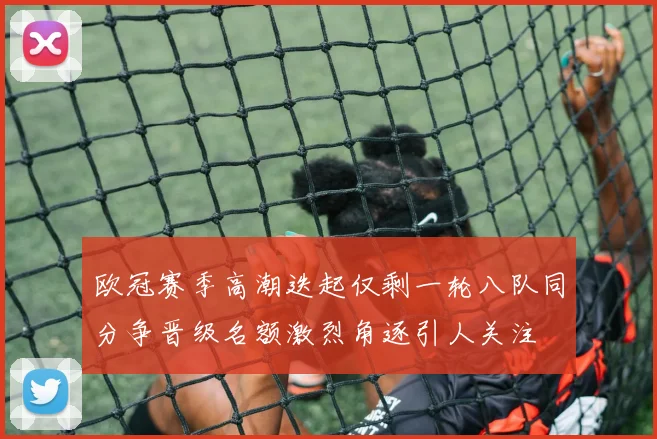 欧冠赛季高潮迭起仅剩一轮八队同分争晋级名额激烈角逐引人关注